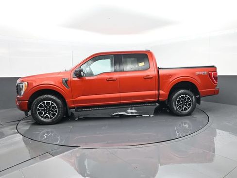 Used 2023 Ford F150 XLT w/ Equipment Group 302A High AWD/4WD image 5