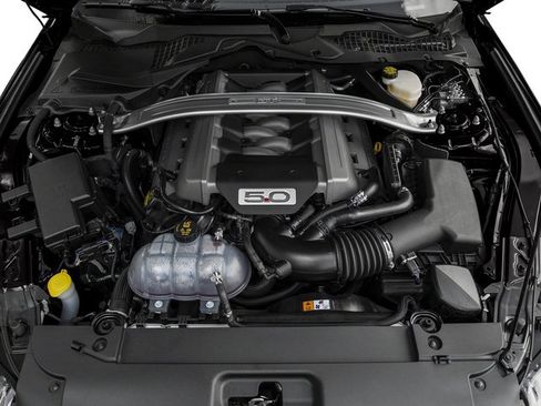 Used 2017 Ford Mustang GT Premium w/ Equipment Group 401A image 14