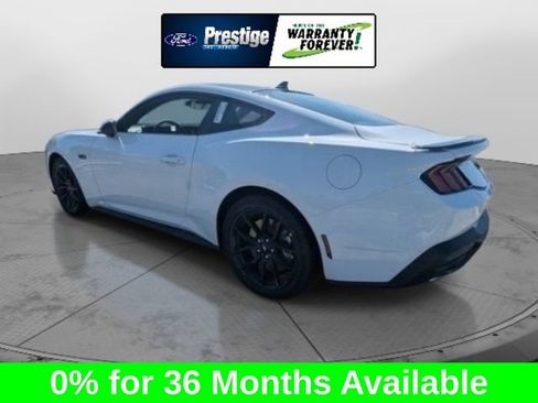 New 2026 Ford Mustang GT w/ Mustang Nite Pony Package RWD image 7