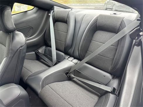 New 2026 Ford Mustang Coupe image 10