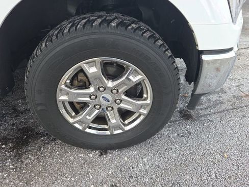 Used 2023 Ford F150 XLT w/ Equipment Group 302A High image 2