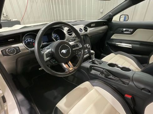 Used 2015 Ford Mustang 50 Years image 9