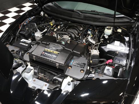 Used 1999 Pontiac Firebird Trans Am RWD image 2