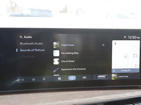 New 2026 Hyundai Santa Fe Calligraphy image 29