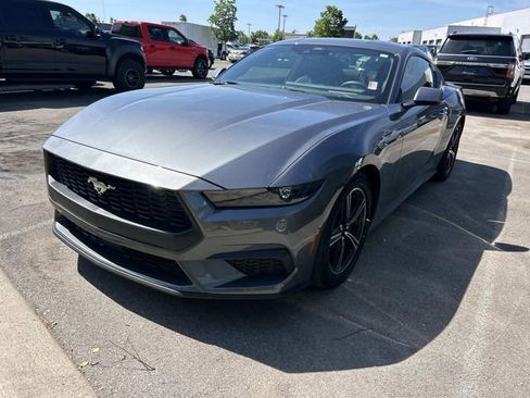Used 2025 Ford Mustang Premium RWD image 1
