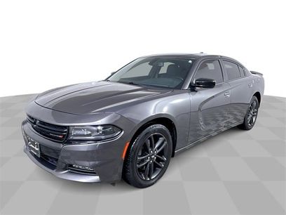 Used 2019 Dodge Charger SXT w/ Blacktop Package