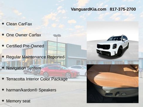 Used 2025 Kia Telluride SX Prestige X-Line image 6