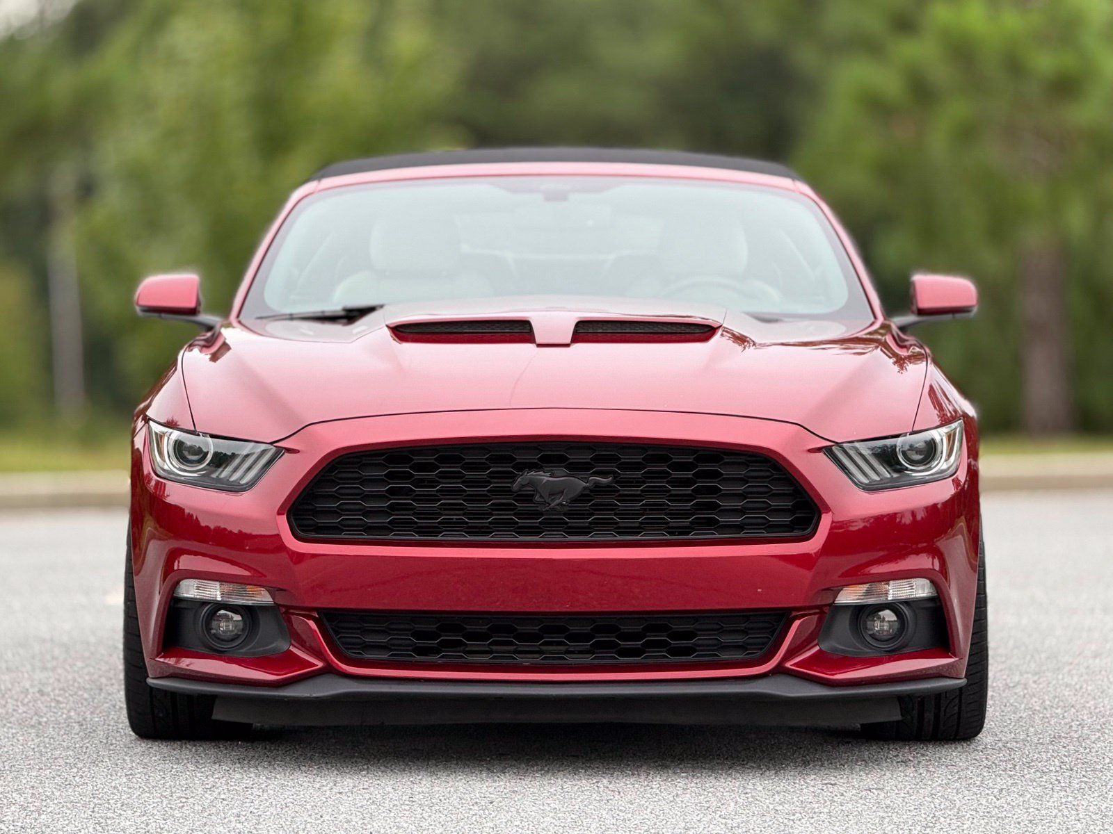 Used 2017 Ford Mustang Premium RWD image 3