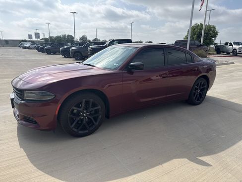 Used 2019 Dodge Charger SXT w/ Blacktop Package RWD image 6
