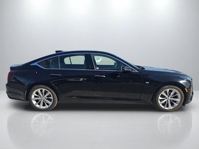 Used 2025 Cadillac CT5 Premium Luxury