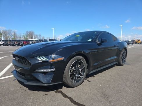 Used 2019 Ford Mustang Coupe w/ Equipment Group 101A RWD image 2