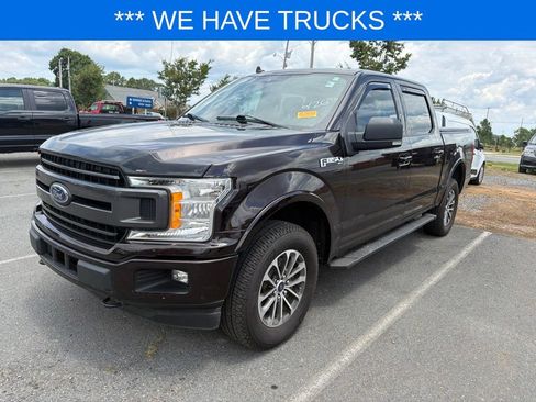Used 2019 Ford F150 XLT w/ Equipment Group 302A Luxury AWD/4WD image 1
