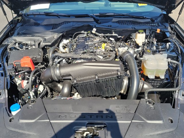 Used 2026 Ford Mustang Coupe w/ Mustang Nite Pony Package RWD image 20