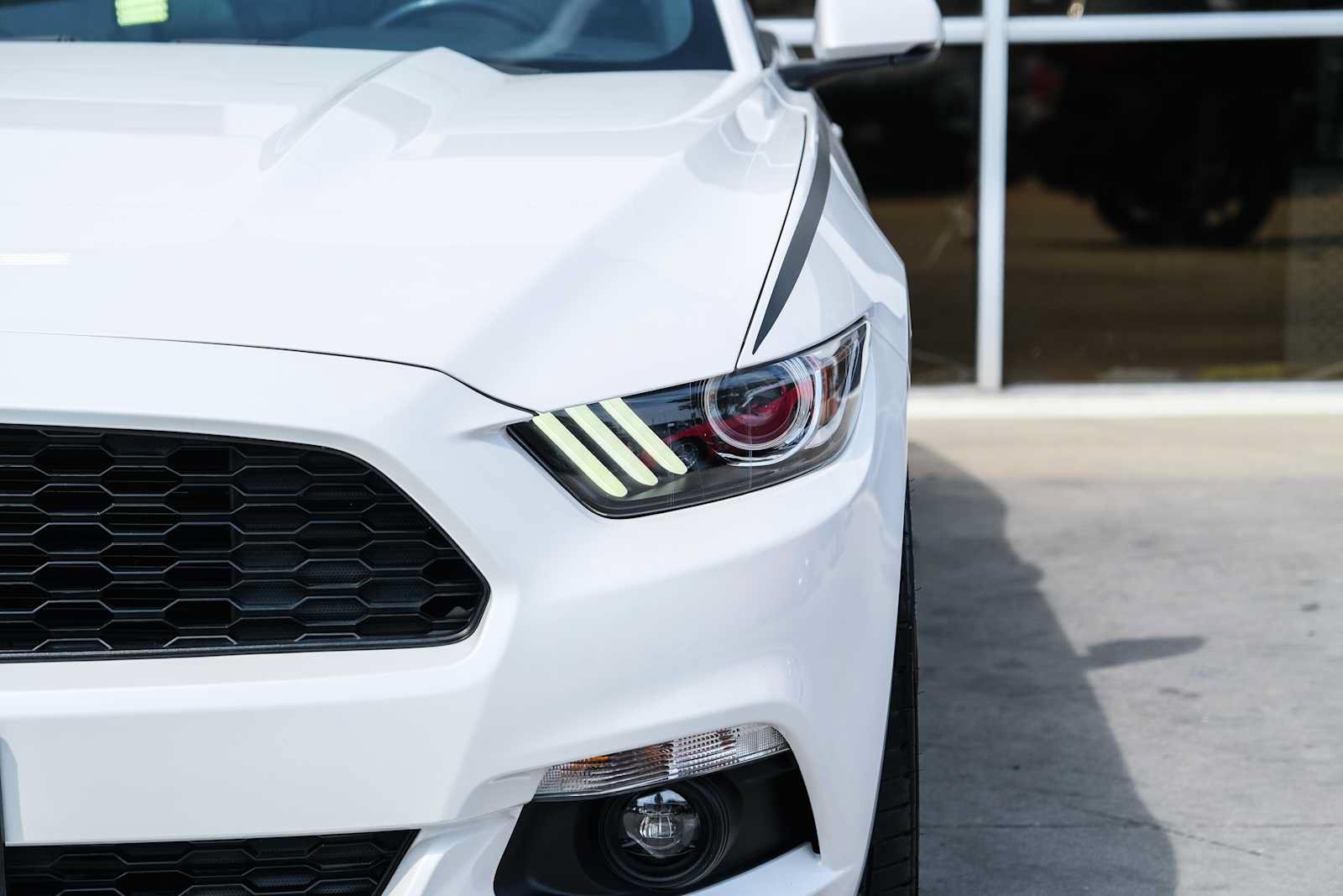 Used 2017 Ford Mustang Premium w/ Equipment Group 201A RWD image 4