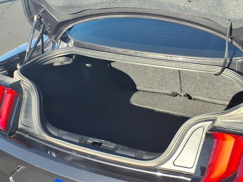 Used 2023 Ford Mustang GT w/ Equipment Group 301A image 14