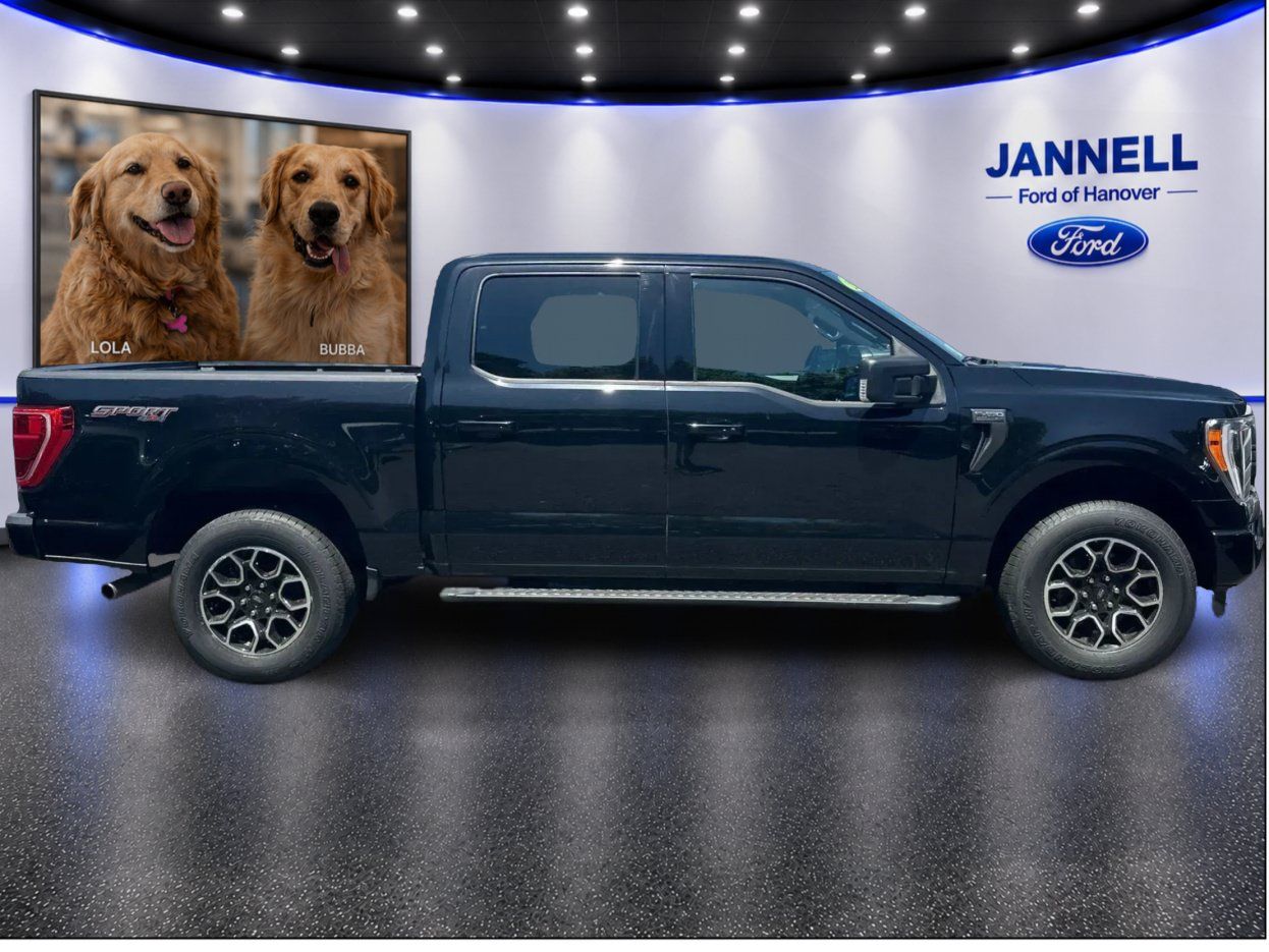 Used 2023 Ford F150 XLT w/ Equipment Group 302A High AWD/4WD image 4