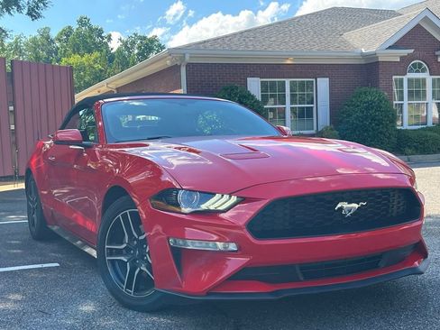 Used 2019 Ford Mustang Premium RWD image 7