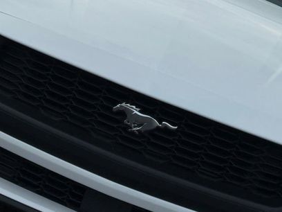 New 2026 Ford Mustang Coupe