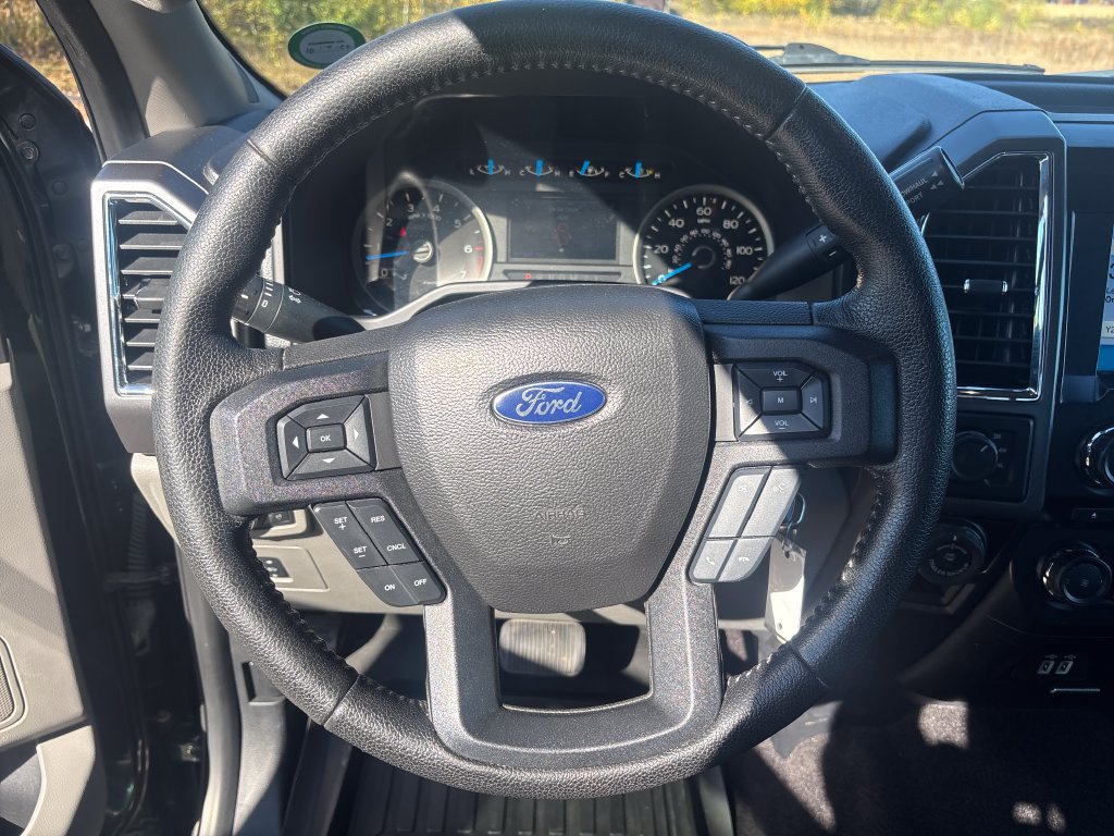 Used 2016 Ford F150 XLT w/ Equipment Group 302A Luxury AWD/4WD image 15
