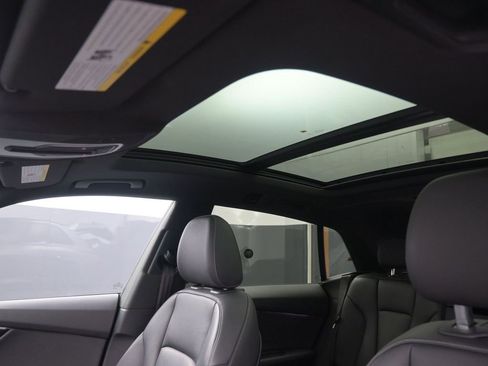 Used 2019 Audi Q8 Premium Plus w/ Premium Plus image 12