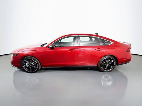 Used 2023 Honda Accord Sport image 6