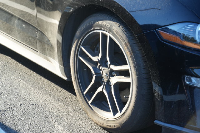 Used 2019 Ford Mustang GT Premium w/ Equipment Group 401A RWD image 2