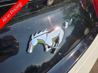 Used 2016 Ford Mustang Premium w/ Equipment Group 201A