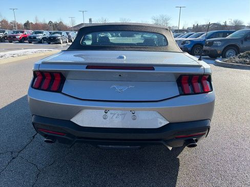 Used 2025 Ford Mustang Premium RWD image 6