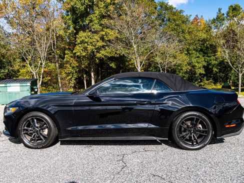 Used 2017 Ford Mustang Premium RWD image 3