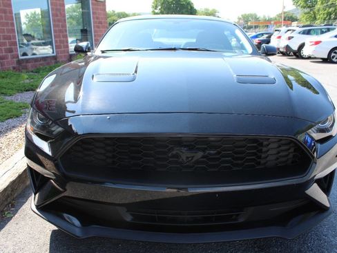 Used 2019 Ford Mustang Coupe w/ Equipment Group 101A RWD image 4
