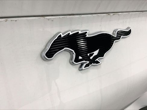 New 2026 Ford Mustang Mach-E Select w/ Comfort Package RWD image 12