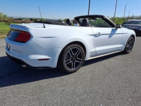 Certified 2023 Ford Mustang Premium image 6