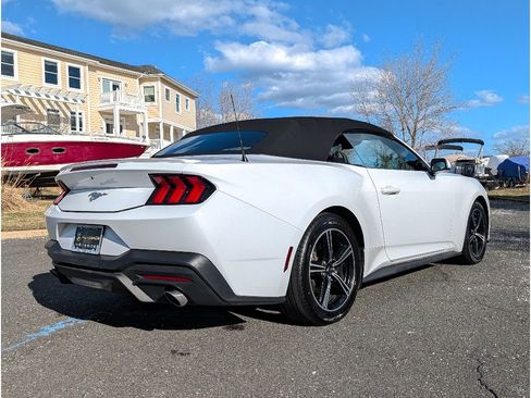 Used 2024 Ford Mustang Premium image 5