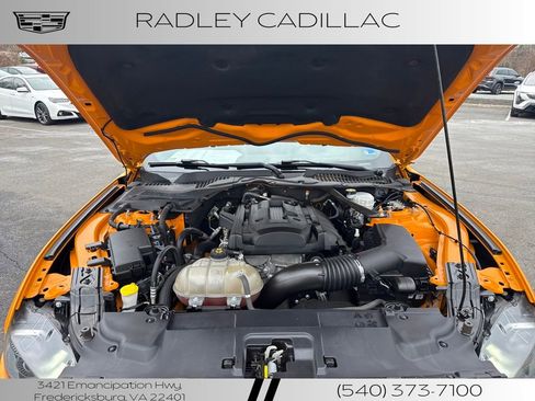 Used 2019 Ford Mustang Premium image 13