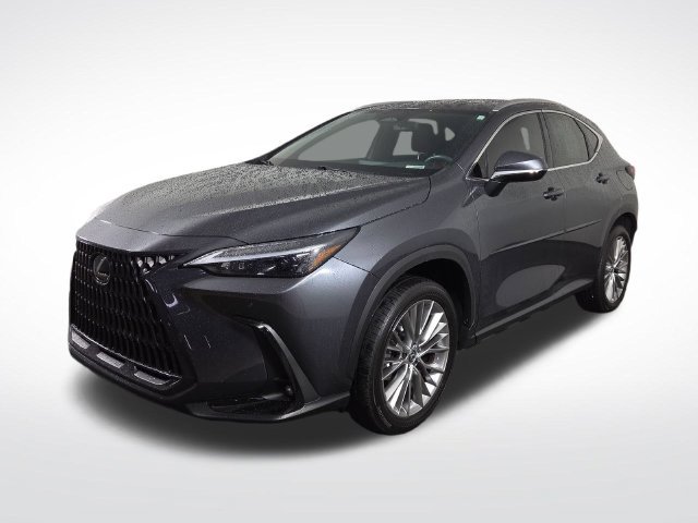 Used 2025 Lexus NX 350h AWD w/ Cold Area Package image 2