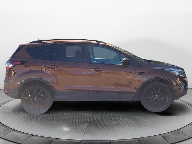 Used 2017 Ford Escape SE w/ SE Sport Appearance Package AWD/4WD image 6
