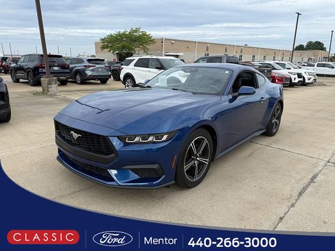 Used 2024 Ford Mustang Coupe RWD image 1