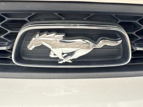 Used 2013 Ford Mustang Premium image 8