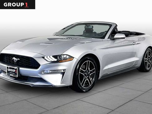 Used 2019 Ford Mustang Premium RWD image 1