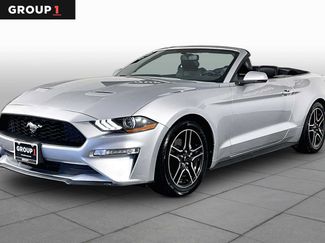 Used 2019 Ford Mustang Premium RWD video 1