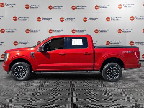 Used 2023 Ford F150 XLT w/ Equipment Group 302A High AWD/4WD image 2