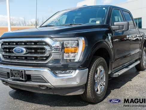 Used 2023 Ford F150 XLT w/ Equipment Group 302A High image 2