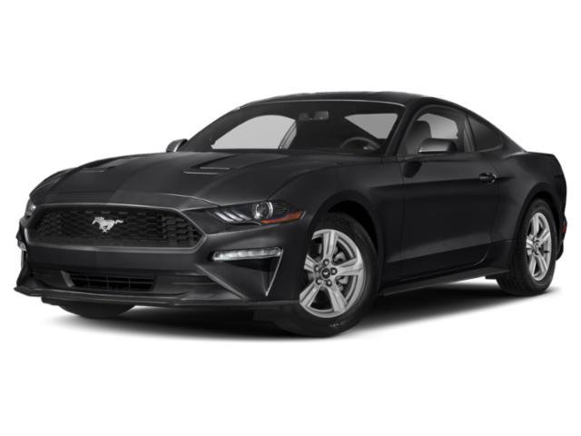 Used 2019 Ford Mustang Coupe RWD image 2