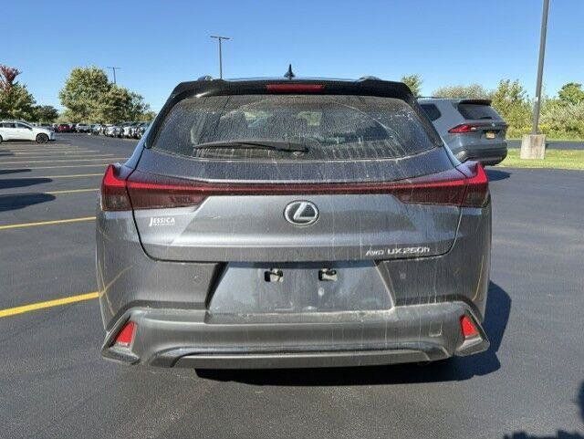 Used 2024 Lexus UX 250h F Sport AWD/4WD image 11