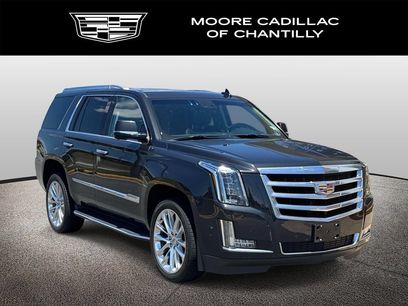 Used 2019 Cadillac Escalade Luxury