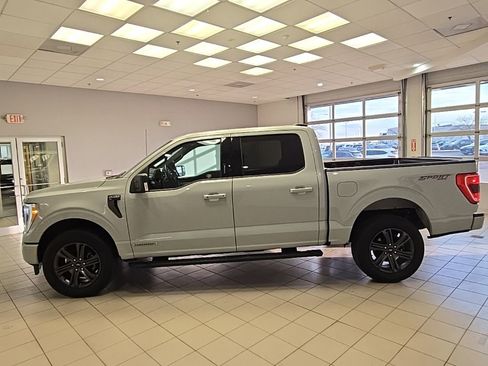 Used 2023 Ford F150 XLT w/ Equipment Group 302A High image 3