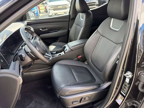 Used 2025 Hyundai Santa Cruz Limited image 13