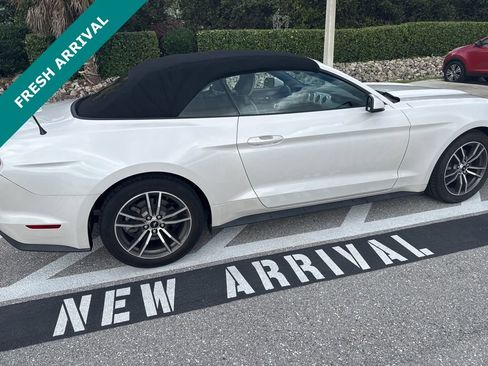 Used 2017 Ford Mustang Premium image 4