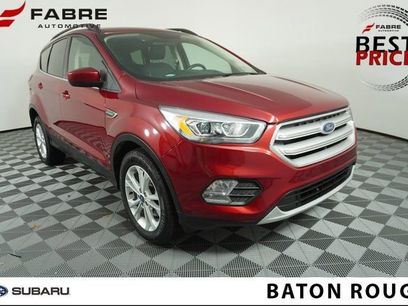 Used 2019 Ford Escape SEL