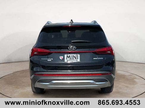 Used 2022 Hyundai Santa Fe Blue AWD/4WD image 4